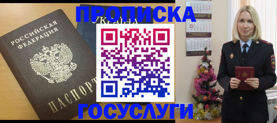 временная регистрация поиск в Новгородской области